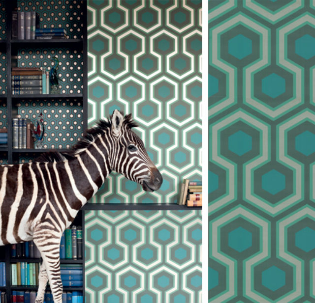 Wallpaper Ideas to Embellish your Home  Wallpaper Ideas to Embellish your Home amazing wallpaper zebra and turquoise