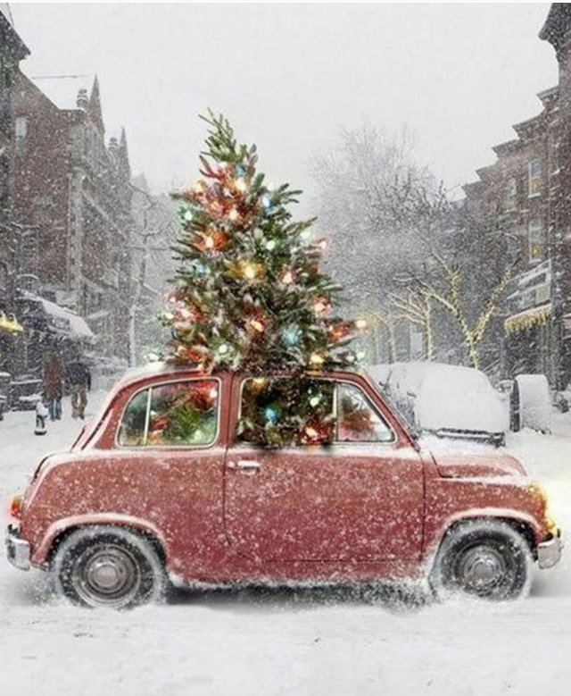 Best 24 DIY Christmas Tree Ideas diy christmas tree Best 24 DIY Christmas Tree Ideas UNIQUE CHRISTMAS TREES COVER