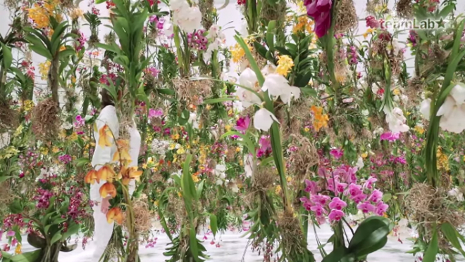 Floating Garden by Team Lab at MO Paris 1