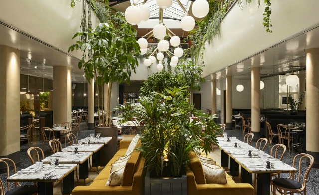 15 Stylish Modern Sofas In Astonishing Restaurant Interiors  modern sofas 15 Stylish Modern Sofas In Astonishing Restaurant Interiors sofa9