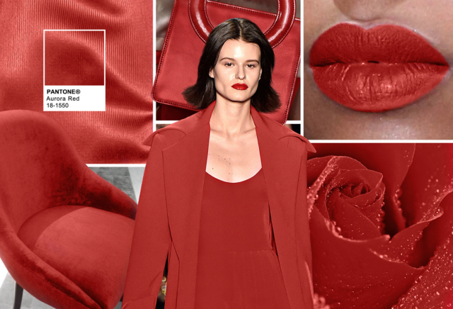 Fall Winter 2016-2017 Color Trends According To Pantone color trends Fall 2016 Color Trends According To Pantone Fall Winter 2016 2017 Color Trends According To Pantone 4