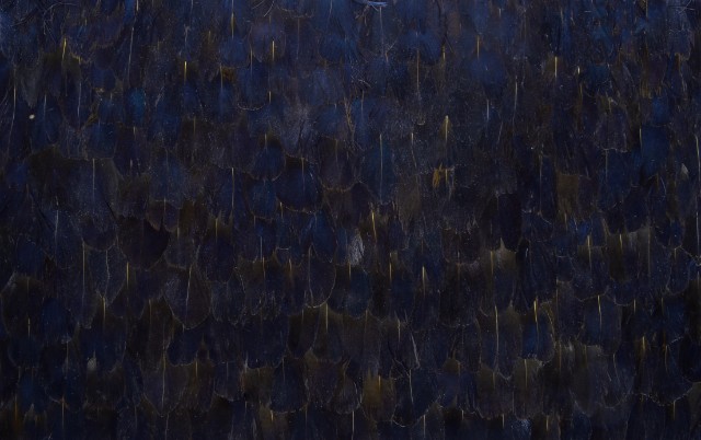Get Inspired By KK's New Seductive Design Collection koket Get Inspired By Koket’s New Seductive Design Collection Get Inspired By Kokets New Seductive Design Collection 9
