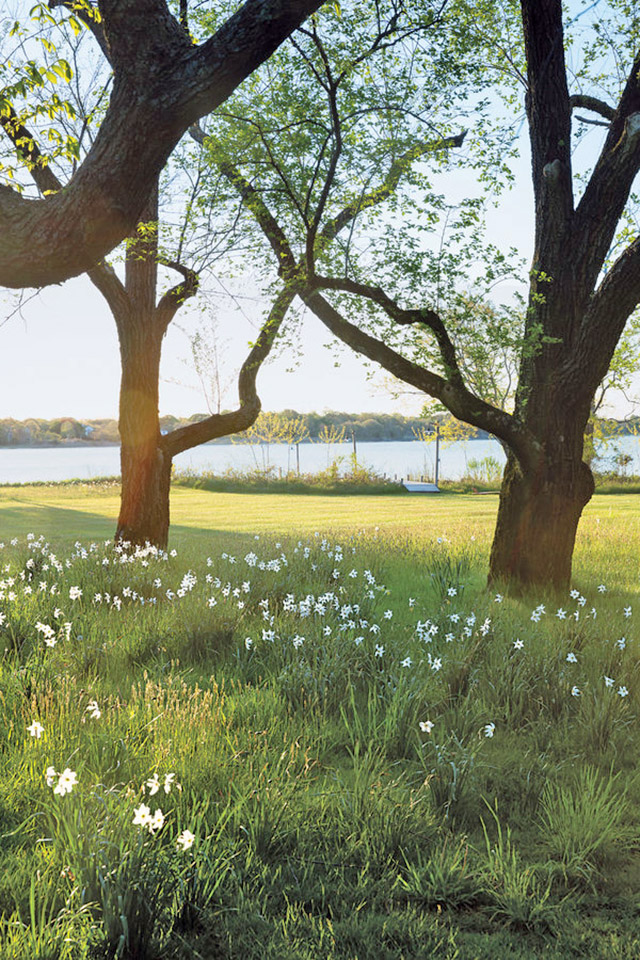 Miranda Brooks Landscape Design  ad100 2017 AD100 List: Miranda Brooks Landscape Design Inspirations 15tmag wintour slide 9A81 articleLarge