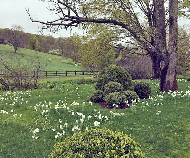 Miranda Brooks Landscape Design  ad100 2017 AD100 List: Miranda Brooks Landscape Design Inspirations Mirandabrooks8