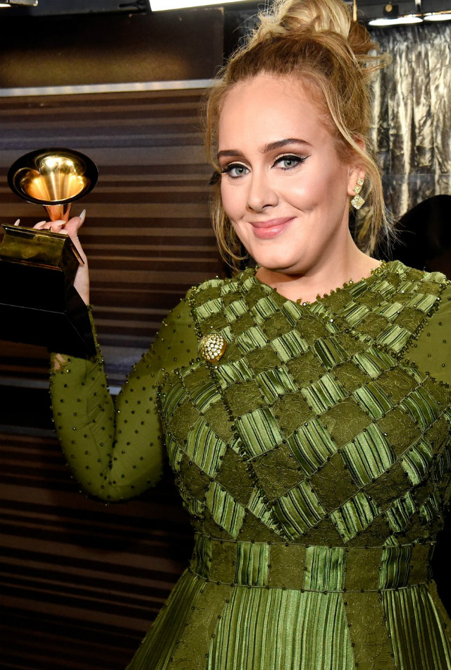 TOP 5 Best Red Carpet Dresses from 2017 GRAMMY AWARDS 2017 grammy awards TOP 5 Best Red Carpet Dresses from 2017 GRAMMY AWARDS c0058abcb267d173 GettyImages 635006154