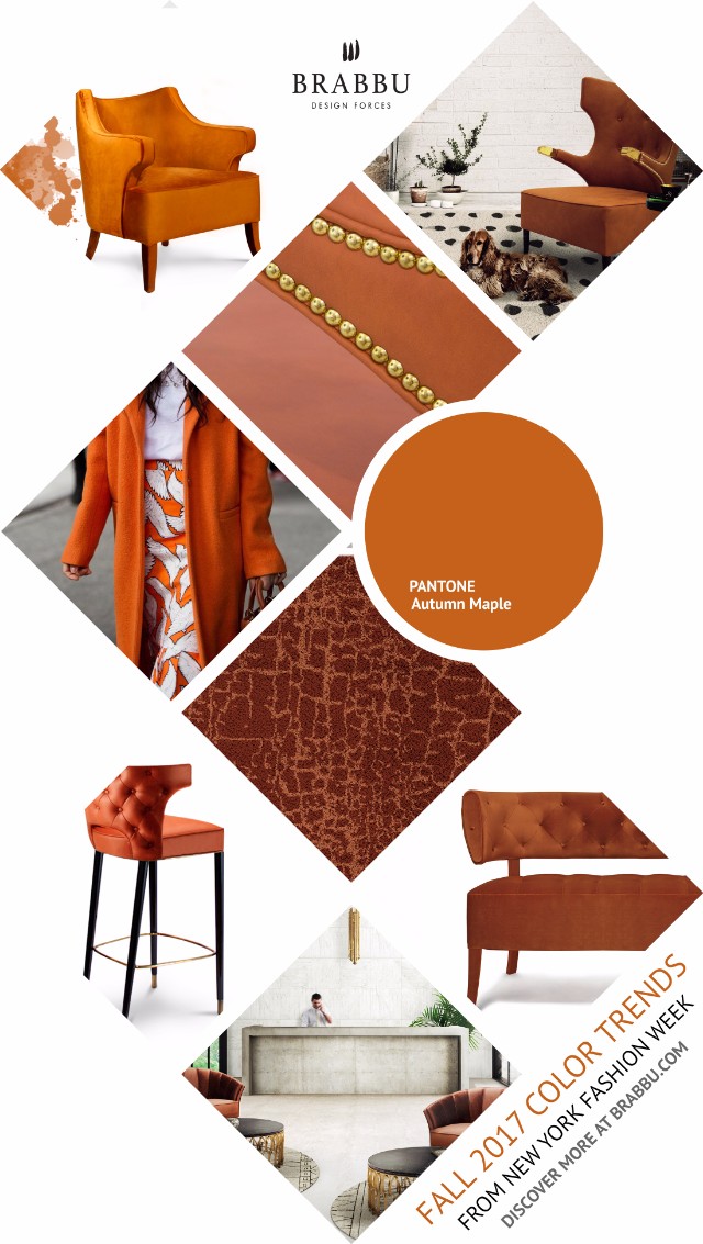 The Inspiring Color Trends That Will Shape Fall 2017   The Inspiring Color Trends That Will Shape Fall 2017  AB234161CE9F2E1771AF49889047A13FBAF28517BB8537D826 pimgpsh fullsize distr