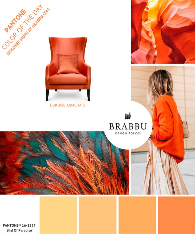 A Week In Colors: Five Color Trends To Add To Your Home Decor III  A Week In Colors: Five Color Trends To Add To Your Home Decor III Bird of Paradise