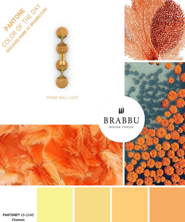 A Week In Colors: Five Color Trends To Add To Your Home Decor IV  A Week In Colors: Five Color Trends To Add To Your Home Decor IV Chamois e1498495483413