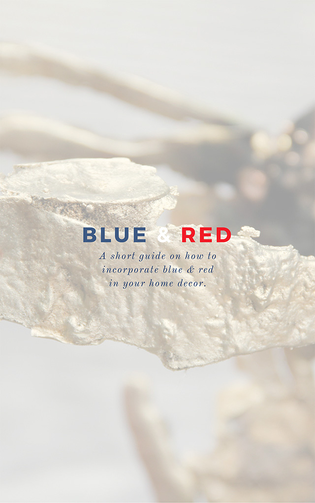 BRABBU’s Quick Guide On Fourth Of July Decorations For A Chic Holiday   BRABBU’s Quick Guide On Fourth Of July Decorations For A Chic Holiday Fourth of July 2 4 blog