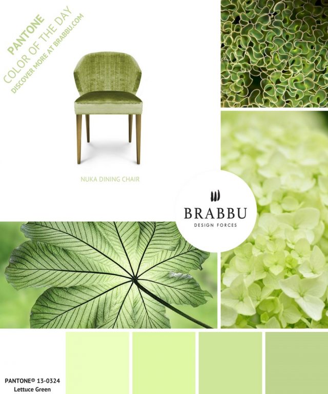 A Week In Colors: Five Color Trends To Add To Your Home Decor IV  A Week In Colors: Five Color Trends To Add To Your Home Decor IV Lettuce Green e1498495412783