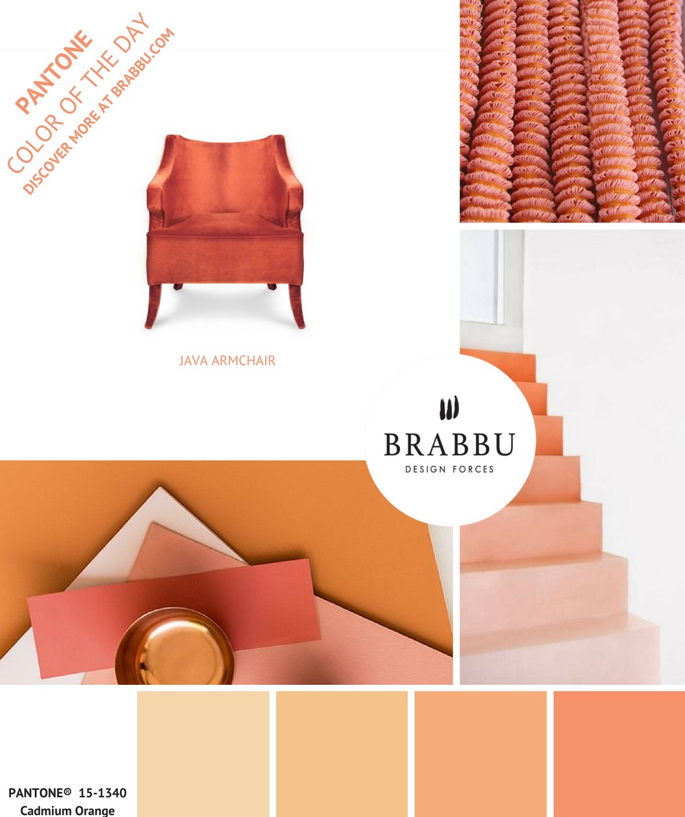 A Week In Colors: Five Color Trends To Add To Your Home Decor V home decor A Week In Colors: Five Color Trends To Add To Your Home Decor V Cadmium Orange