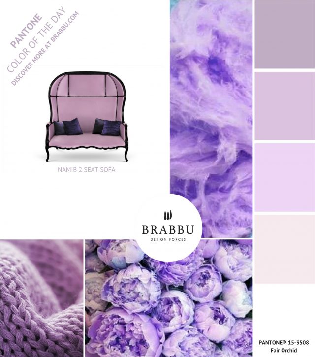 A Week In Colors: Five Color Trends To Add To Your Home Decor VI home decor A Week In Colors: Five Color Trends To Add To Your Home Decor VI Fair Orchid e1499703658683