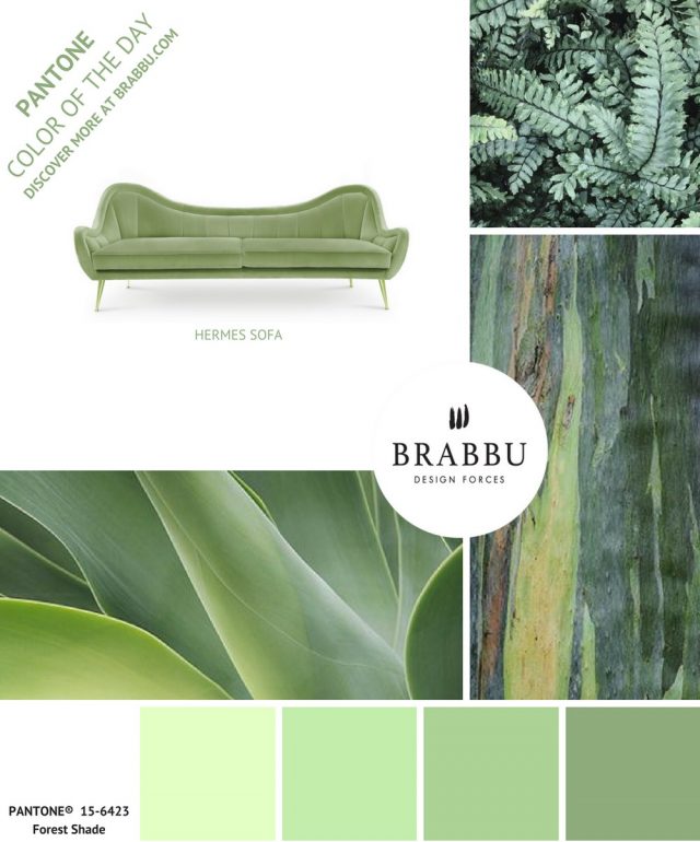 A Week In Colors: Five Color Trends To Add To Your Home Decor V home decor A Week In Colors: Five Color Trends To Add To Your Home Decor V Forest Shade e1499097939549