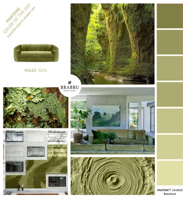 A Week In Colors: Five Color Trends To Add To Your Home Decor X home decor A Week In Colors: Five Color Trends To Add To Your Home Decor X 20525637 1403599949717725 8024862478546811020 n e1502114808624