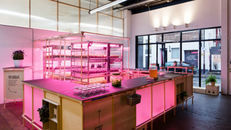 Dezeen Awards dezeen awards The best of design and architecture: The Dezeen Awards 2018 winners Lokal by SPACE10 and Spacon X