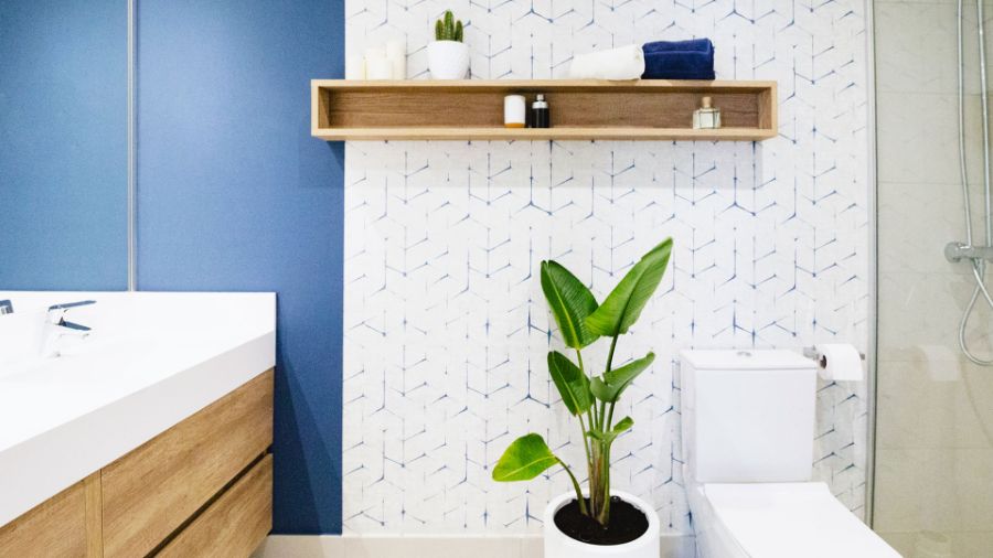 bathroom by kiga with white sink and toilet. a floor plant kiga Kiga Modern Style Inspirations Kiga Modern Style Inspirations1 8 1