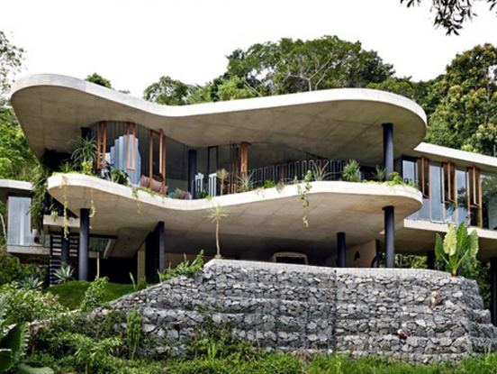 Architect Jesse Bennett elevates planchonella house within the Australian rainforest