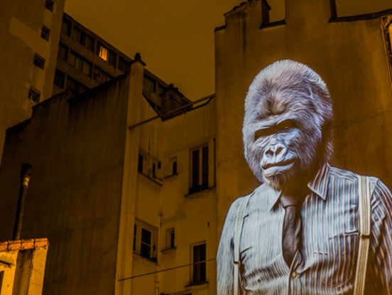 A safari of smartly-dressed wildlife on the streets of Paris projected by Julien Nonnon