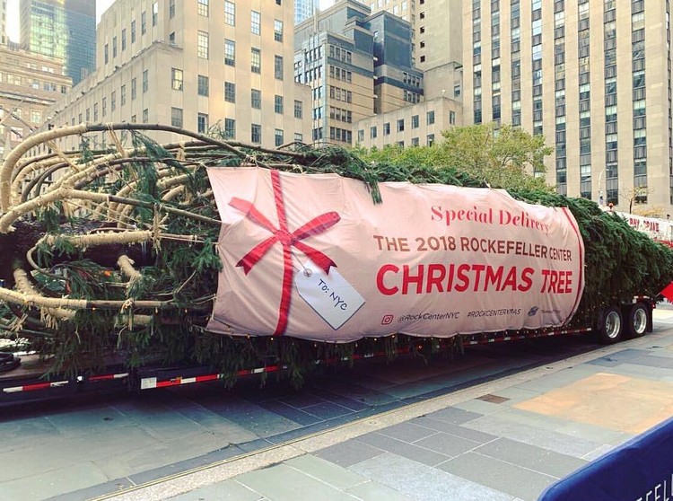 ROCKEFELLER CENTER CHRISTMAS TREE 2018