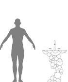 human-scale-newton