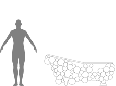 human-scale-newton